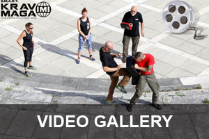Video Gallery